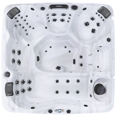 Avalon EC-867L hot tubs for sale in Monterey Park